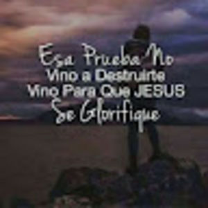 Meet your Posher, Mireya